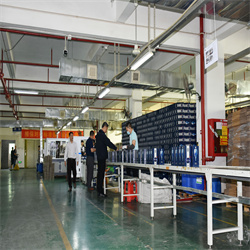 Fen Chiew(Qinghua) 20 years Production Workshop